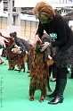 Crufts2011 563